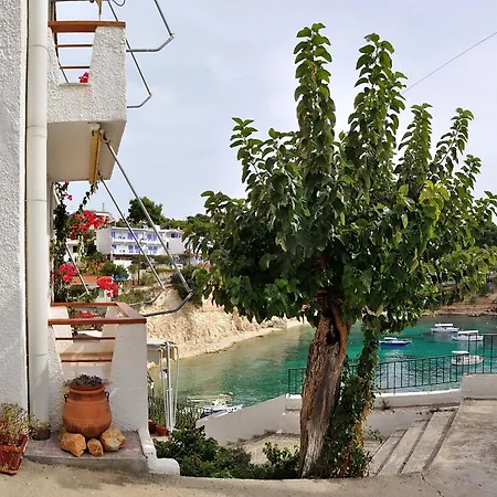 Dimitris 3* Вотси