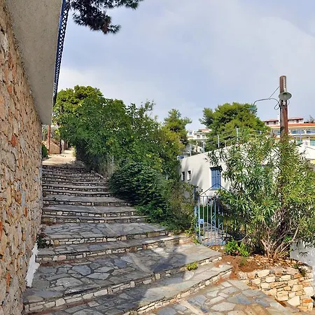 Dimitris 3* Вотси